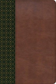 RVR 1960 Biblia de Estudio Scofield, verde oscuro/castaño sí