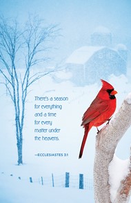 There's A Season Winter Bulletin (Pkg of 50)