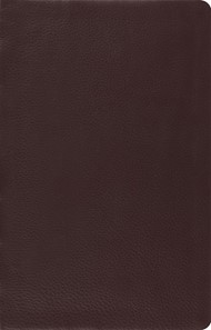ESV Large Print Thinline Reference Bible (Brown)