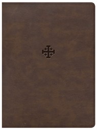 CSB Life Connections Study Bible, Brown, Indexed