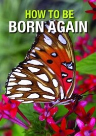 How to be Born Again Tracts (Pack of 50)