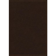 KJV Study Bible, The, Bonded Leather, Full-Color Ed.