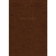 KJV Know The Word Study Bible, Brown, Red Letter Ed.