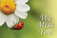 We Miss You Ladybug Postcard (Pkg of 25)