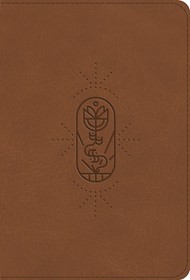 ESV Kid's Bible, Compact, TruTone, The True Vine