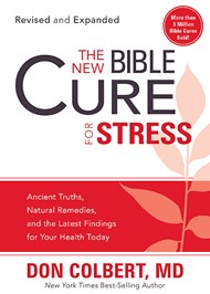 The New Bible Cure For Stress
