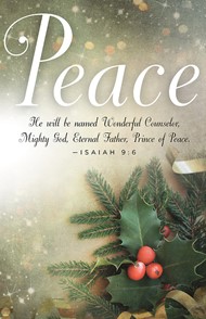 Peace Image Advent Bulletin (Pkg of 50)
