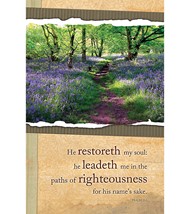 Paths Of Righteousness Bulletin (Pack of 100)