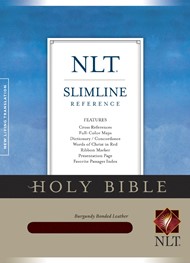 NLT Slimline Reference Bible, Burgundy