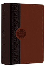 MEV Thinline Reference Bible (Chestnut/Brown)
