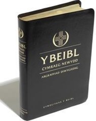 Beibl Cymraeg Newydd Revised Standard Leather