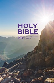 NIV Thinline Value Hardback Bible