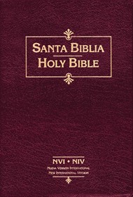 NVI/NIV Biblia Bilingue