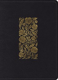 ESV Illuminated Bible, Art Journaling Edition (Black)