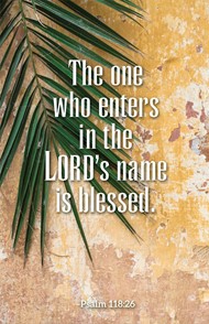The One Who Enters Palm Sunday Bulletin (Pkg of 50)