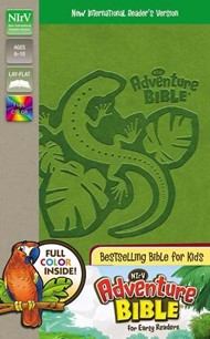 NIRV Adventure Bible For Early Readers