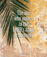 The One Who Enters Palm Sunday Bulletin, Large (Pkg of 50)