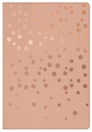 HCSB Compact Ultrathin Bible For Teens, Rose Gold