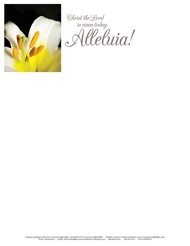 Christ the Lord Easter Lilies Letterhead (Pkg of 50)