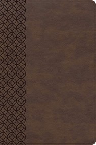 CSB Giant Print Center-Column Reference Bible, Brown Leather
