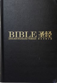 Revised Chinese Union & ESV Dual Language Bible