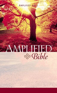 Amplified Mass Market Bible