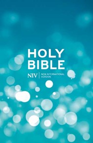 NIV Popular Blue Hardback Bible