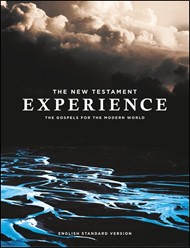 The New Testament Experience