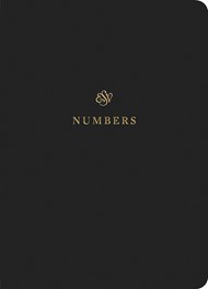 ESV Scripture Journal: Numbers