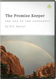 The Promise Keeper DVD