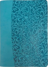 Everyday Life Amplified Bible, Turquoise