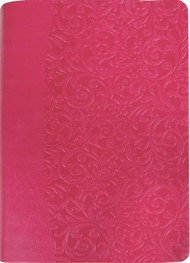Everyday Life Amplified Bible, Pink