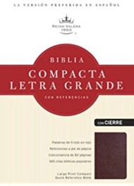 RVR 1960 Biblia Letra Grande Tamaño Manual