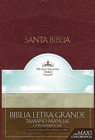 RVR 1960 Biblia Letra Granda Tamaño Manual con Referencias,