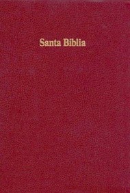 RVR 1960 Biblia Letra Grande con Referencias, borgoña imitac
