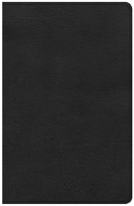 KJV Large Print Personal Size Reference Bible, Black