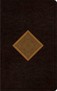 ESV Thinline Bible, Trutone, Brown/Goldenrod