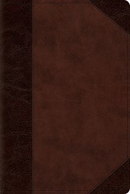 ESV Reader's Bible, Trutone, Brown/Walnut, Portfolio Design