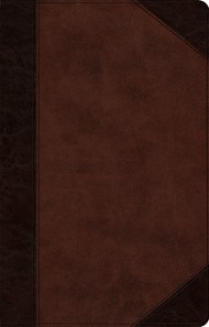ESV Large Print Thinline Reference Bible, Brown/Walnut