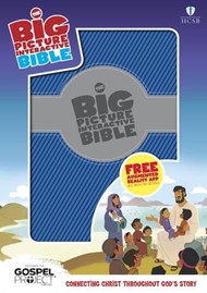 HCSB Big Picture Interactive Bible, Blue/Silver Leathertouch
