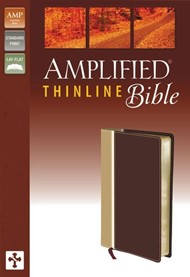 Amplified Thinline Bible, camel-Burgundy