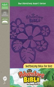 NIrV Adventure Bible For Early Readers