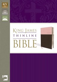 KJV Thinline Bible, Large Print