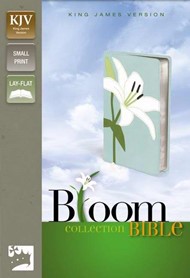 KJV Thinline Bloom  Compact Lily