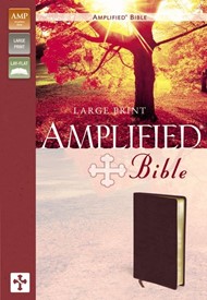 Amplified Bible, Large Print, Burgundy