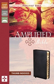 Amplified Bible Indexed, Black