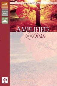 Amplified Bible Burgundy