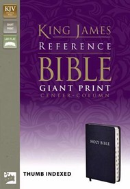 KJV Reference Bible Giant Print Indexed, Navy
