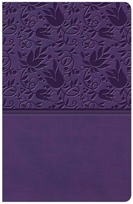 KJV Large Print Personal Size Reference Bible, Purple