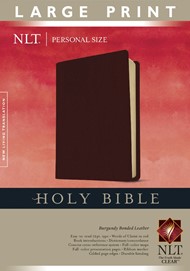 NLT Holy Bible, Personal Size Large Print Edition
